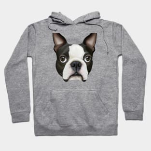 Cute Boston Terrier Drawing Hoodie